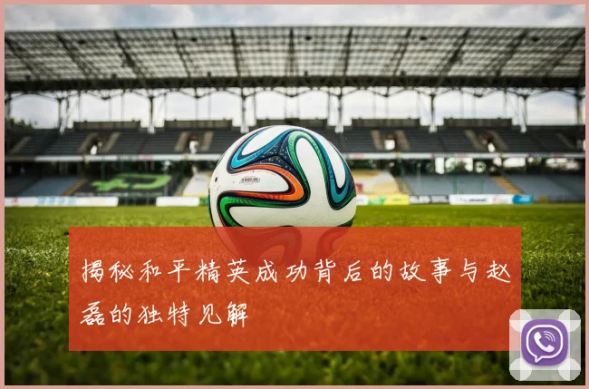 揭秘和平精英成功背后的故事与赵磊的独特见解